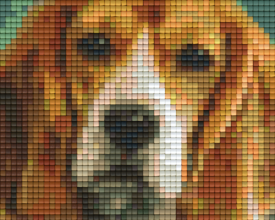 Beagle - Close Up One [1] Baseplate PixelHobby Mini-mosaic Art Kit